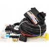 ELEKTRONIKA STAG Q-BOX PLUS 4 CYL.